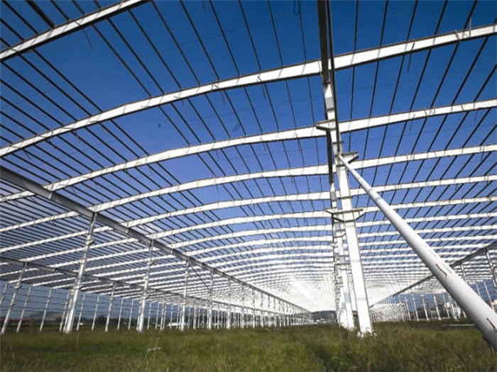 新沂钢结构厂房